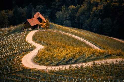 Spåner, halm eller savsmuld? Vælg den rette strøelse til dine dyr