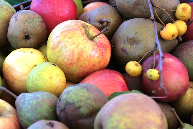 Hvordan forskellige danske æblesorter påvirker smagen i din cider