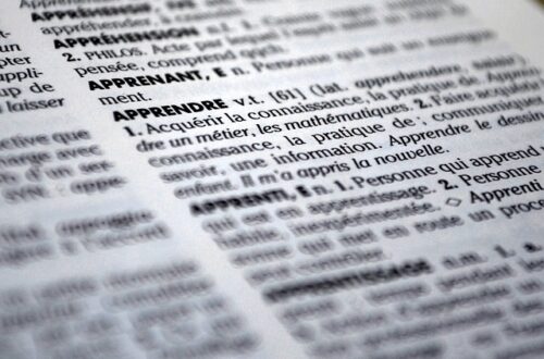 Ordbogsopslag: Sådan udvider du dit ordforråd effektivt