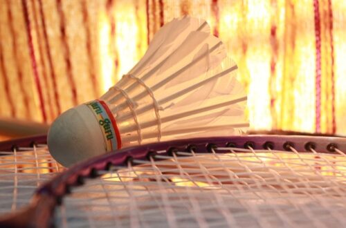Udforsk de nyeste trends inden for badmintonsæt fra vidaXL